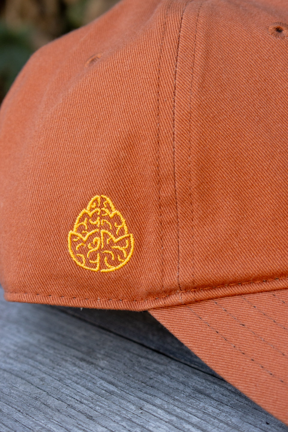 Script Dad Hat - Orange