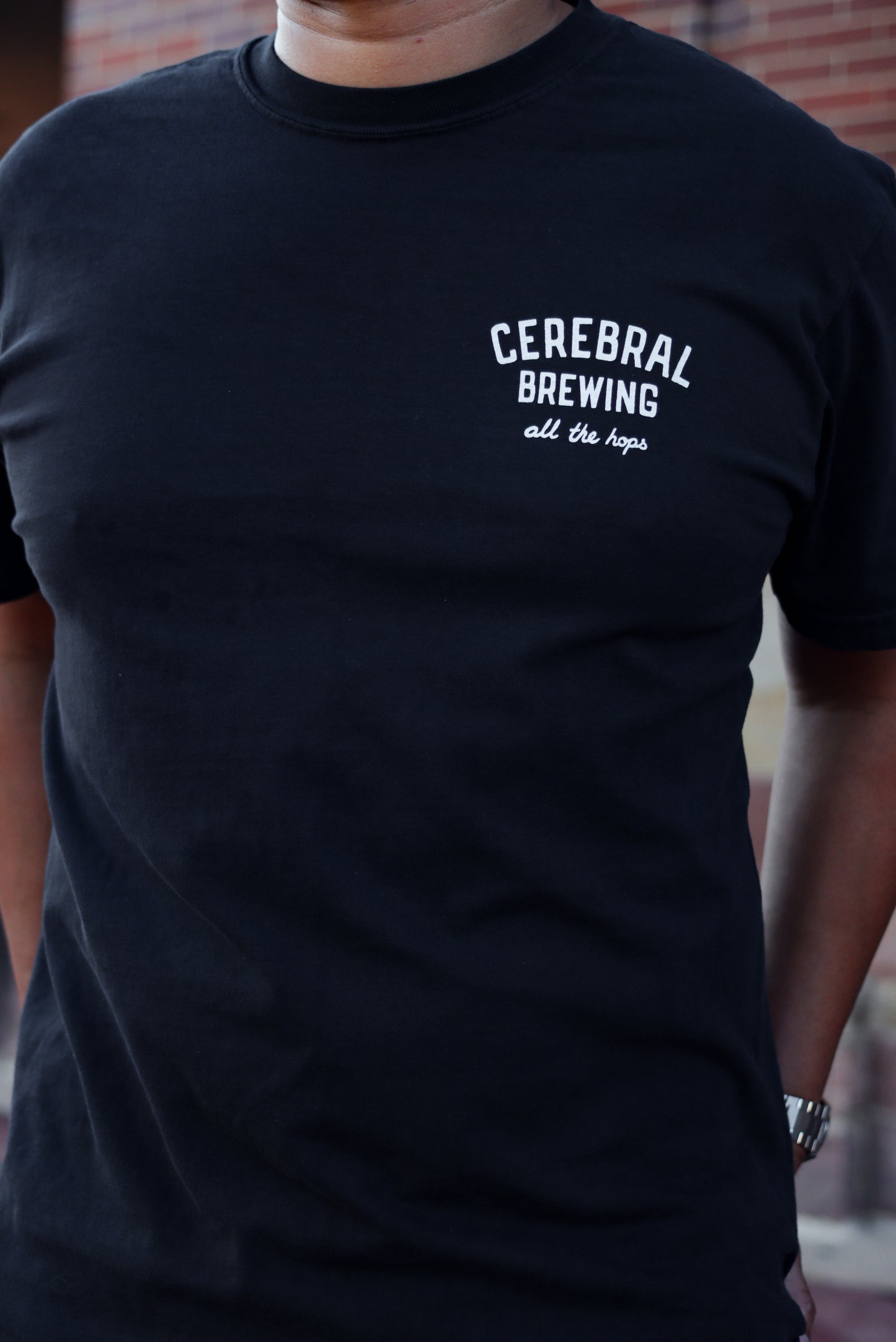 Field to Face Tee - Black