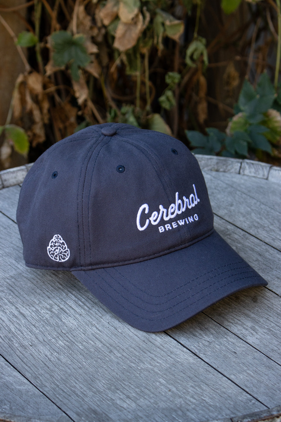 Script Dad Hat - Navy