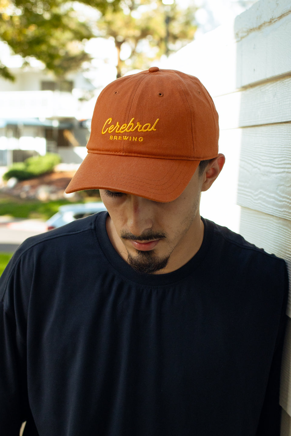 Script Dad Hat - Orange