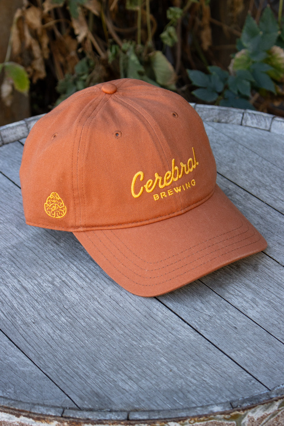 Script Dad Hat - Orange